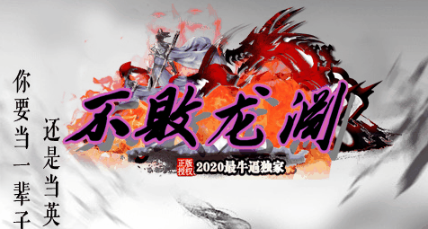 老白网络