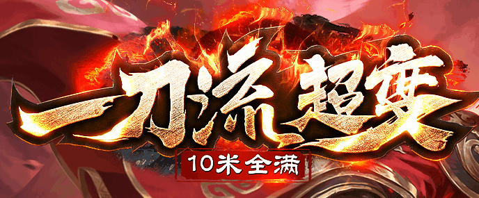 老白网络